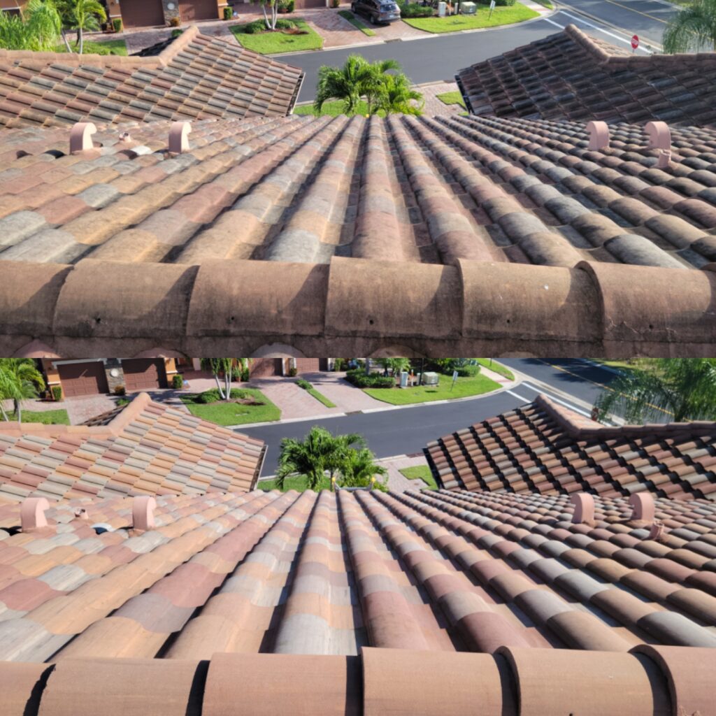 Before and after demonstration of a tile roof cleaned by Pinnacle Pressure Cleaning and Sealing, highlighting their Naples pressure cleaning services, with a clear contrast between the treated and untreated sections.